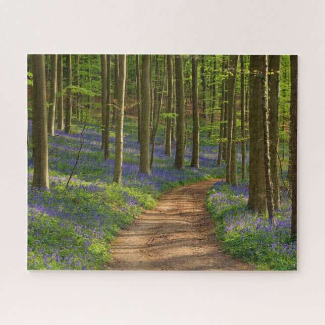 Forests | Bluebell Forest in Belgium Jigsaw Puzzle (Horizontal)