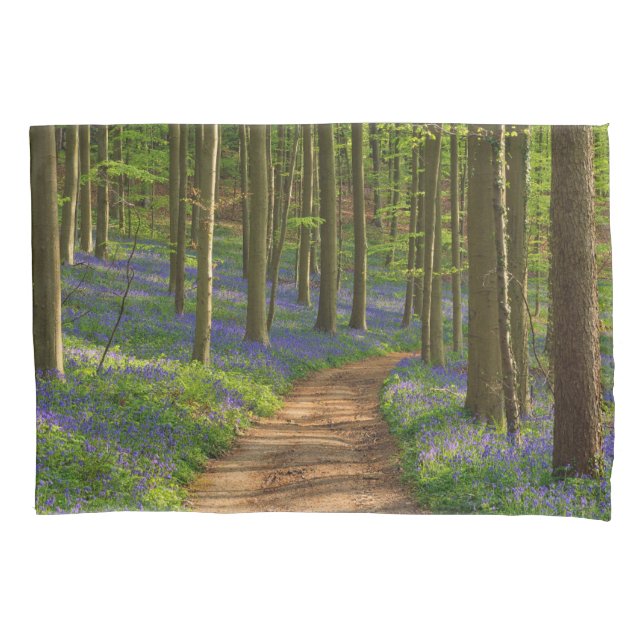 Forests | Bluebell Forest in Belgium Pillow Case (Front)