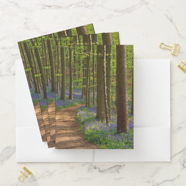 Forests | Bluebell Forest in Belgium Pocket Folder (In Situ)