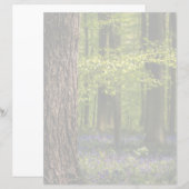 Forests | Bluebells in Belgium (Front/Back)