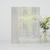 Forests | Bluebells in Belgium (Standing Front)