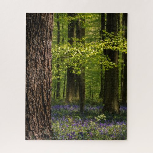 Forests  Bluebells in Belgium Jigsaw Puzzle