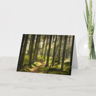 Forests Boreal Forest Sweden Card