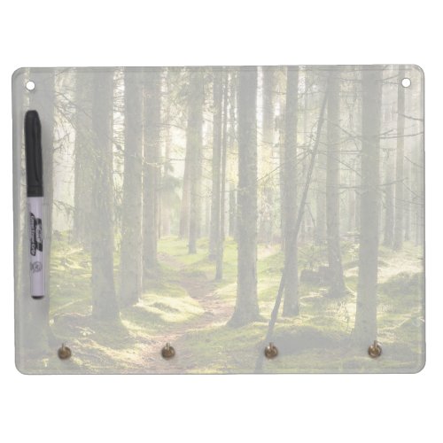 Forests  Boreal Forest Sweden Dry Erase Board With Keychain Holder