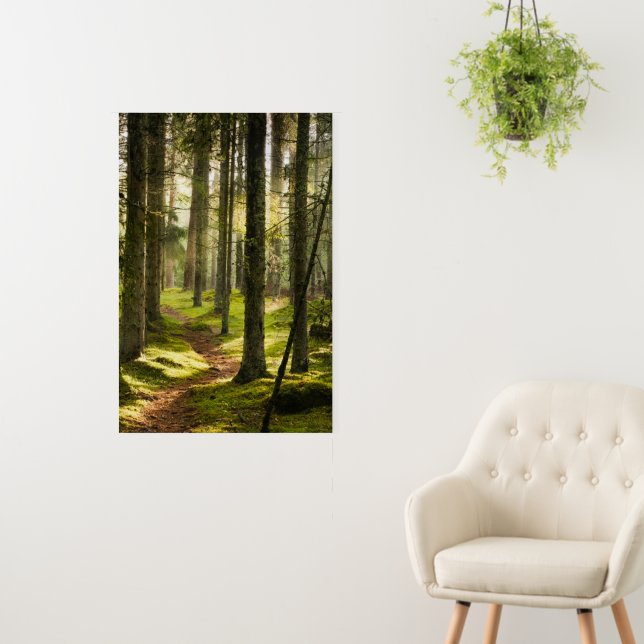 Forests | Boreal Forest Sweden Foam Board (In Situ (Wall))