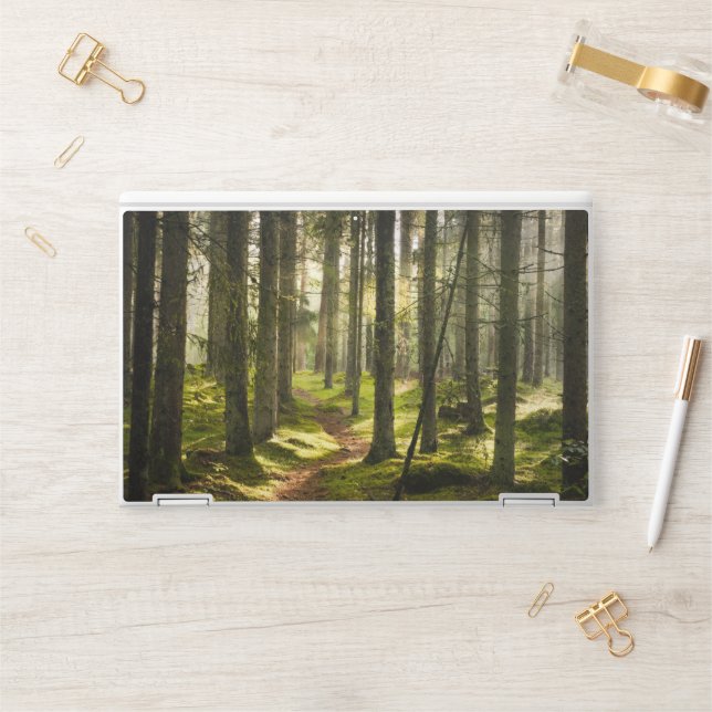Forests | Boreal Forest Sweden HP Laptop Skin (Desk)