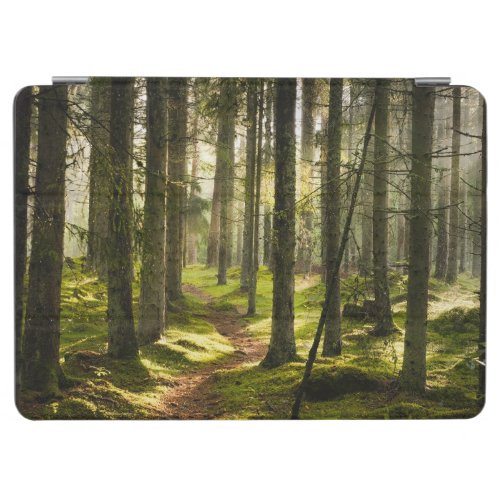 Forests  Boreal Forest Sweden iPad Air Cover
