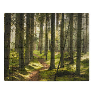 Forests   Boreal Forest Sweden Jigsaw Puzzle