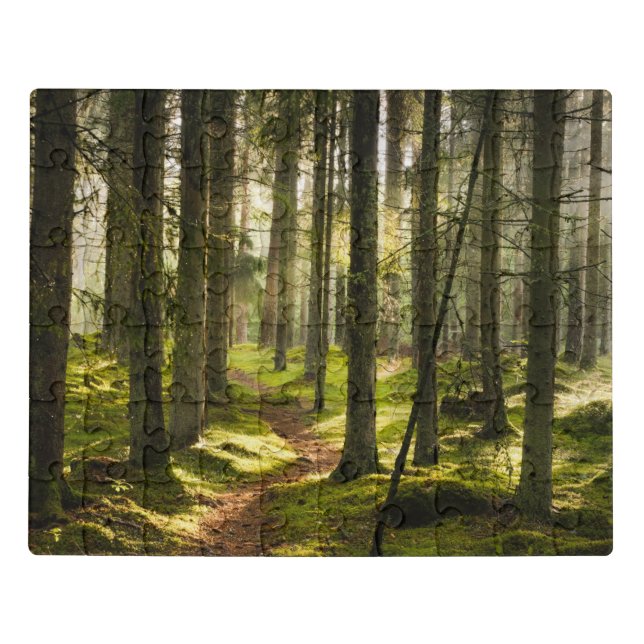 Forests | Boreal Forest Sweden Jigsaw Puzzle (Puzzle Horizontal)