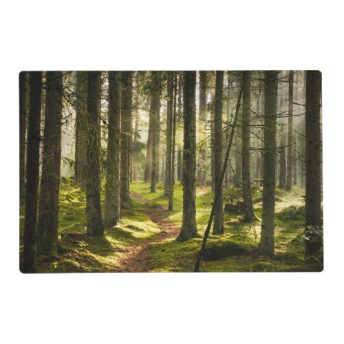 Forests  Boreal Forest Sweden Placemat