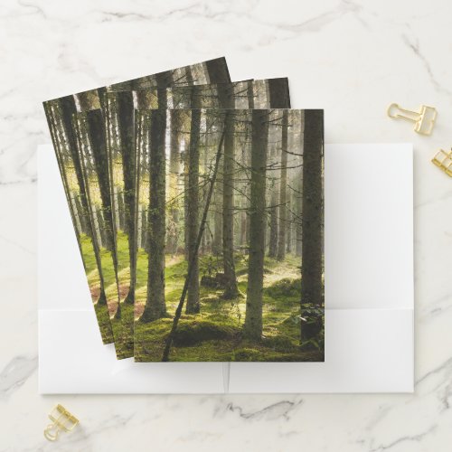 Forests  Boreal Forest Sweden Pocket Folder