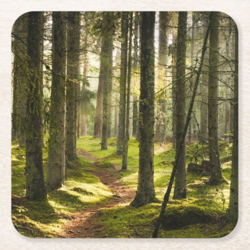 Forests  Boreal Forest Sweden Square Paper Coaster