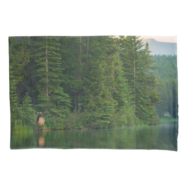 Forests | Elk at Banff National Park Alberta Pillow Case (Front)