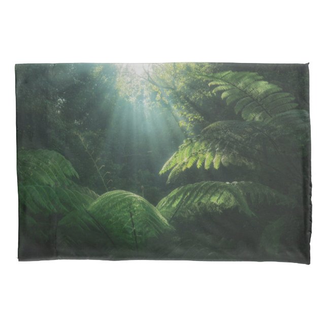 Forests | Ferns in Rainforest Pillow Case (Front)