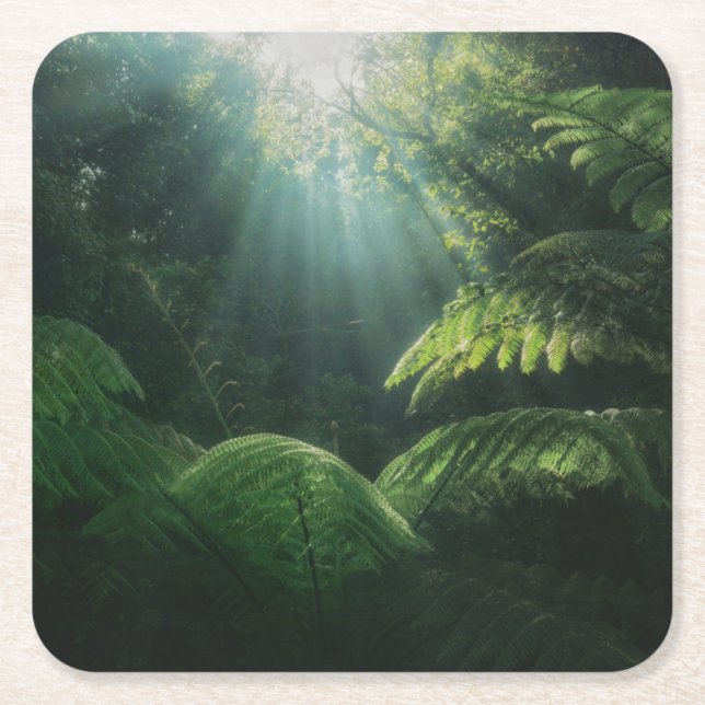 Forests | Ferns in Rainforest Square Paper Coaster (Front)