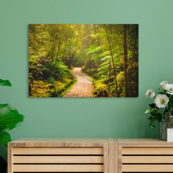 Forests | Footpath Into Forest Canvas Print by intothewild at Zazzle