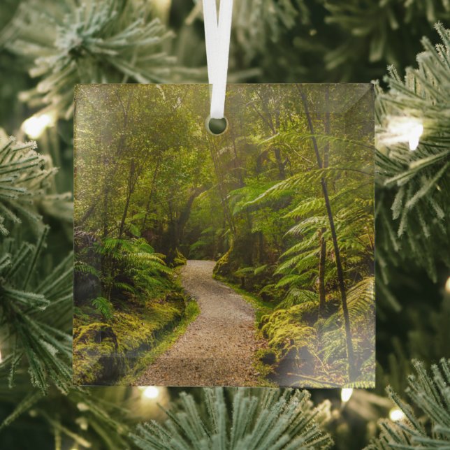 Forests | Footpath Into Forest Glass Ornament (Insitu)
