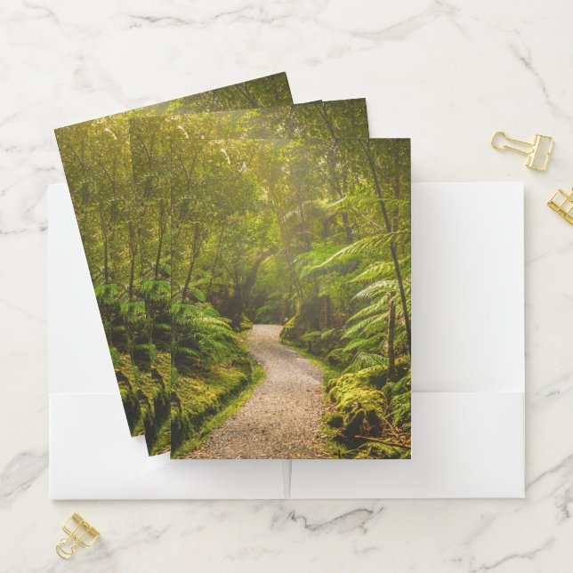 Forests | Footpath Into Forest Pocket Folder (In Situ)