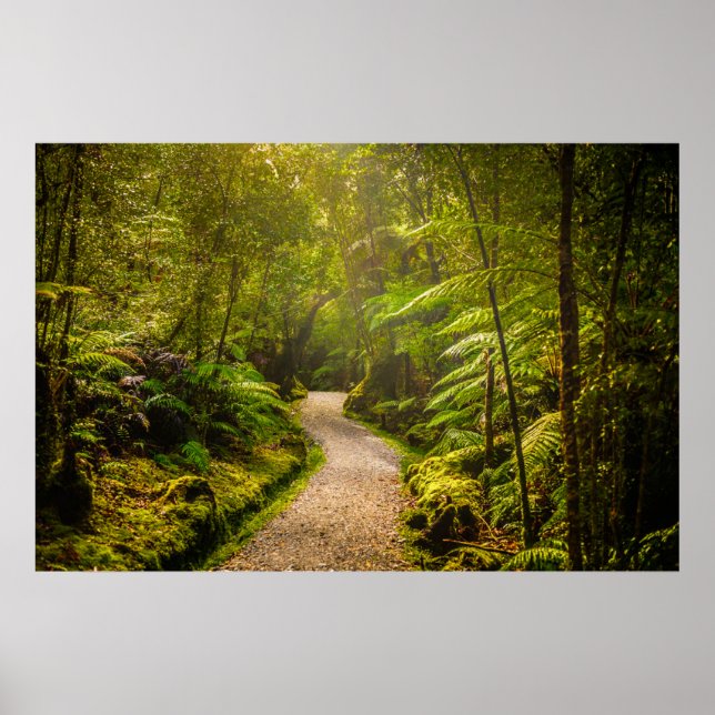 Forests | Footpath Into Forest Poster (Front)