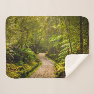 Forests   Footpath Into Forest Sherpa Blanket