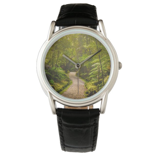 Forests | Footpath Into Forest Watch (Front)