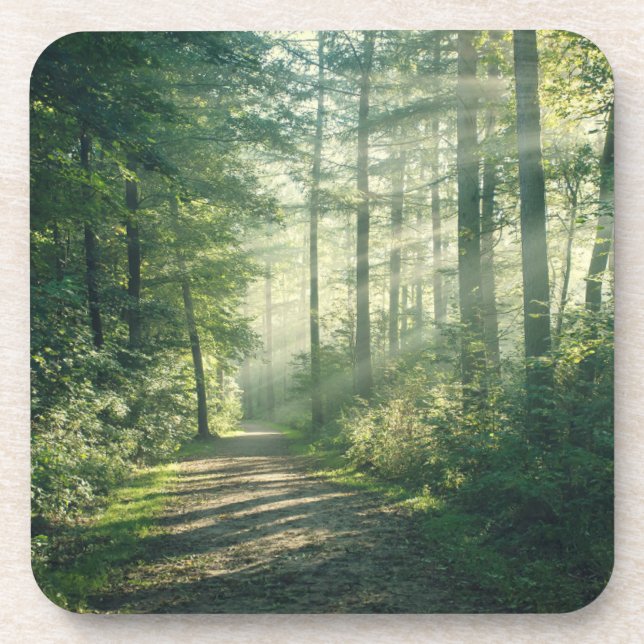 Forests | Forest Path Hamburg Germany Beverage Coaster (Front)