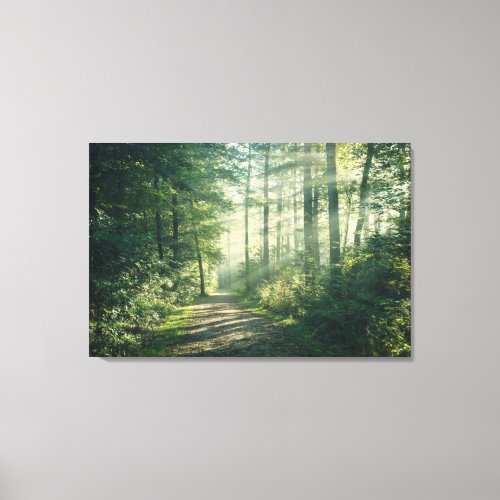 Forests  Forest Path Hamburg Germany Canvas Print