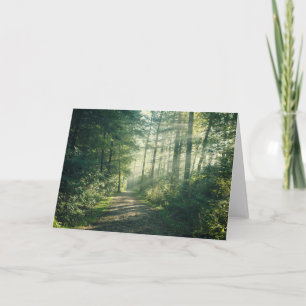 Forests Forest Path Hamburg Germany Card