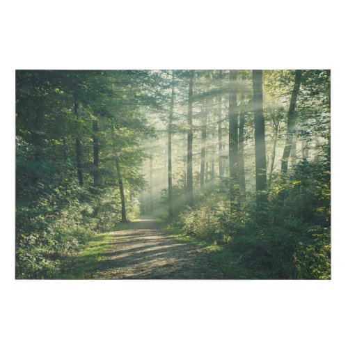 Forests  Forest Path Hamburg Germany Faux Canvas Print