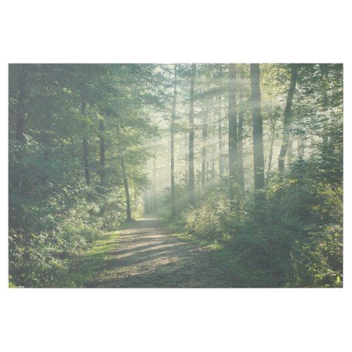 Forests  Forest Path Hamburg Germany Gallery Wrap
