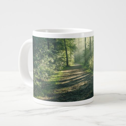 Forests  Forest Path Hamburg Germany Giant Coffee Mug