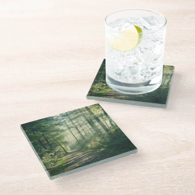 Forests | Forest Path Hamburg Germany Glass Coaster (Angled)