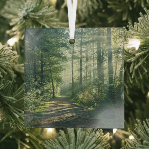 Forests  Forest Path Hamburg Germany Glass Ornament