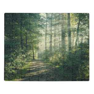 Forests Forest Path Hamburg Germany Jigsaw Puzzle
