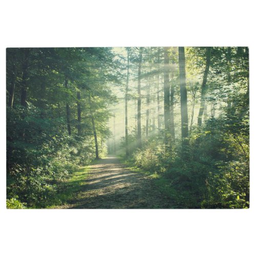 Forests  Forest Path Hamburg Germany Metal Print