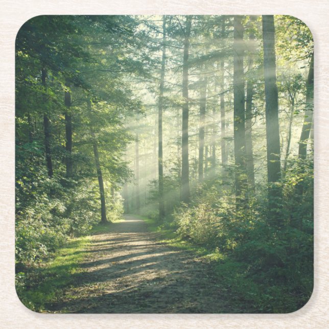 Forests | Forest Path Hamburg Germany Square Paper Coaster (Front)