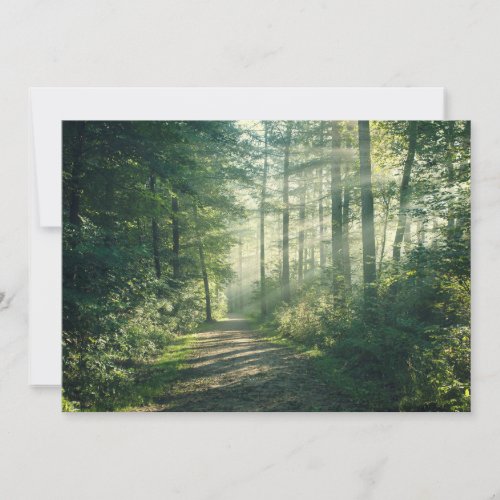 Forests  Forest Path Hamburg Germany Thank You Card