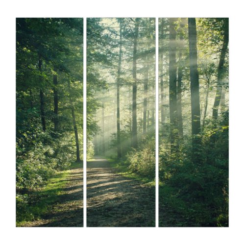 Forests  Forest Path Hamburg Germany Triptych