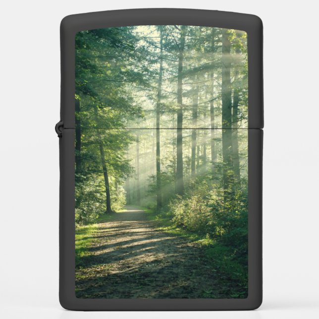 Forests | Forest Path Hamburg Germany Zippo Lighter (Front)