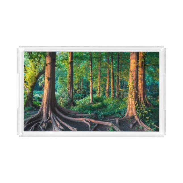 Forests | Greenery & Woodland Acrylic Tray (Front)