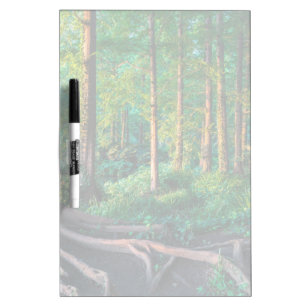 Forests   Greenery & Woodland Dry Erase Board