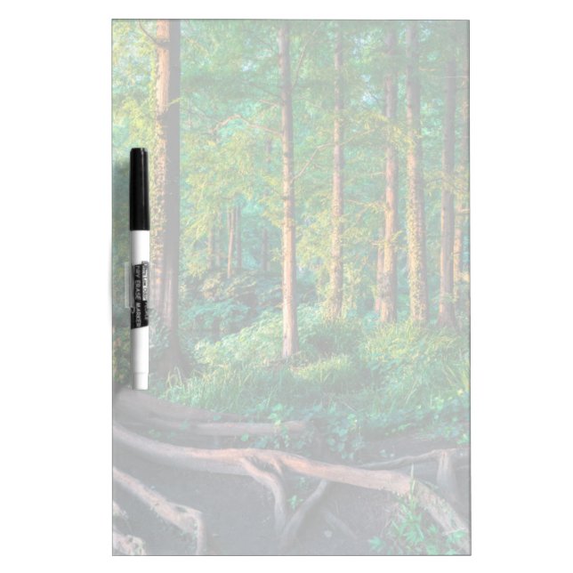 Forests | Greenery & Woodland Dry Erase Board (Front)