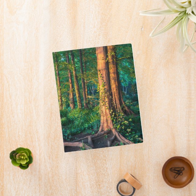 Forests | Greenery & Woodland Mini Binder (InSitu)