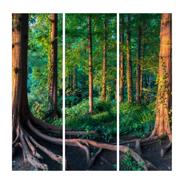 Forests | Greenery & Woodland Triptych (Front)