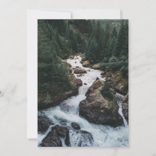Forests Grison Graubunden Canton Thank You Card