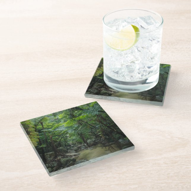 Forests | Iriomote Ishigaki National Park Glass Coaster (Angled)