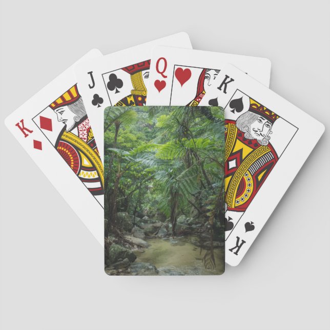 Forests | Iriomote Ishigaki National Park Poker Cards (Back)