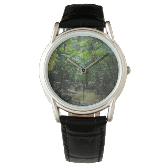 Forests | Iriomote Ishigaki National Park Watch (Front)