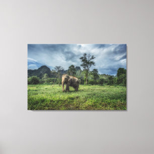 Forests   Kao Sok National Park Canvas Print