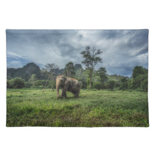 Forests   Kao Sok National Park Cloth Placemat